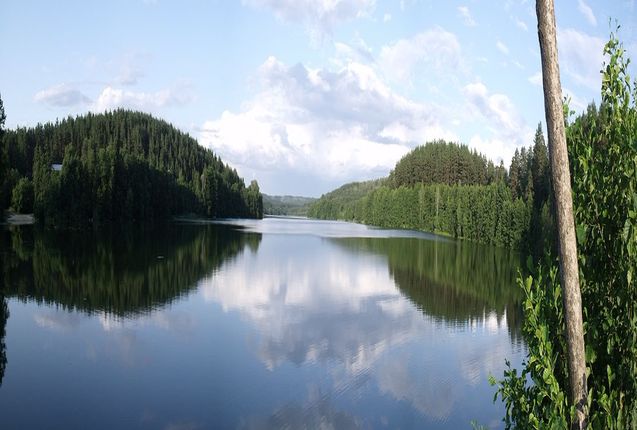 Сегодня житель нашего города